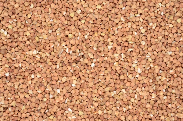 Buckwheat — Stock Photo, Image