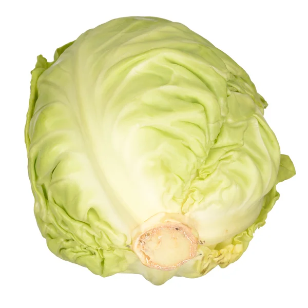 Cabbage — Stock Photo, Image