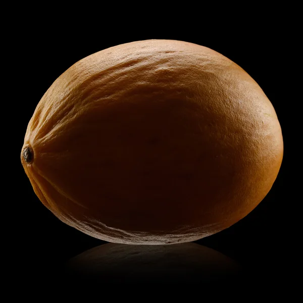 Kanariefågel melon — Stockfoto