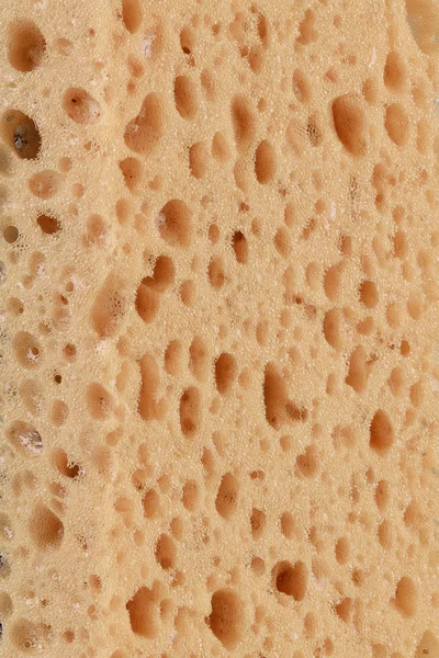 Yellow sponge texture