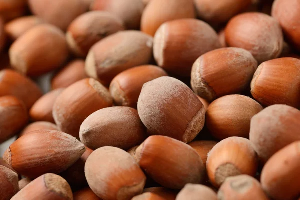 Heap of hazelnuts — Stock Photo, Image