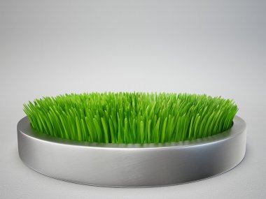 yeşil çim kavramı