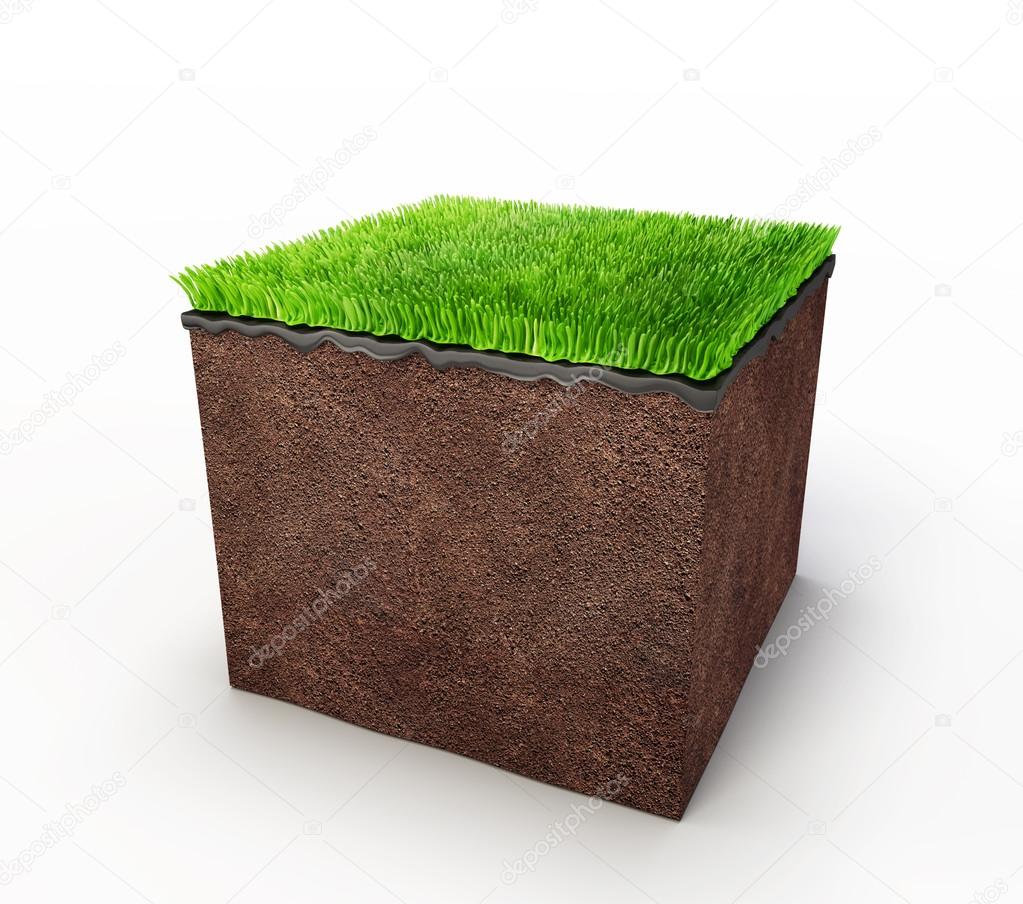 Green grass concept