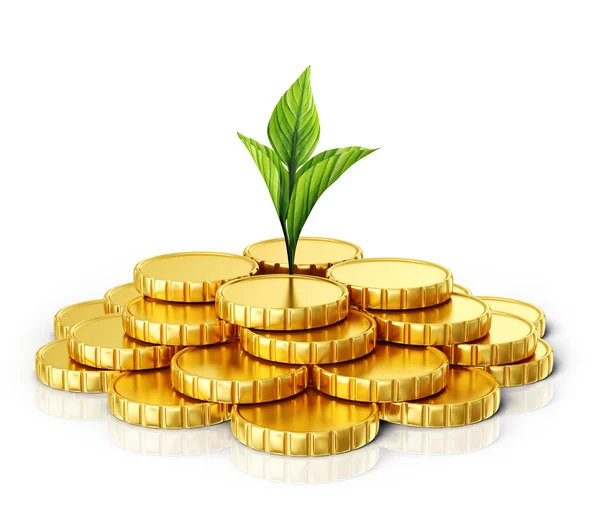 Münzen und grüne Pflanze — Stockfoto