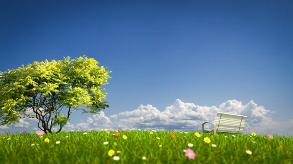 Bench on a grass field — Stock Photo, Image