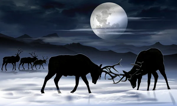 Old Bull Elks Fight Illustration — Stock Photo, Image