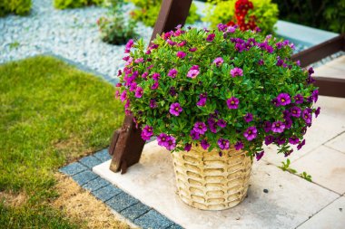 Bahçe çiçek dekorasyon