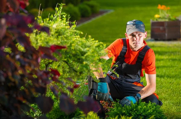 Der Gartengestalter — Stockfoto