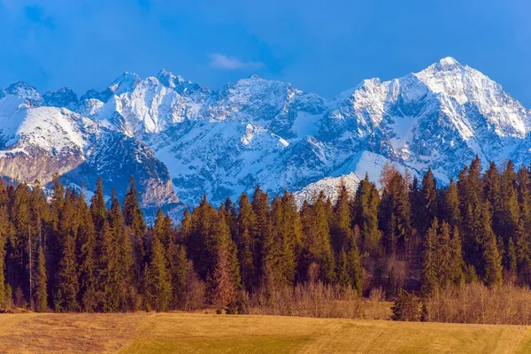 Paisaje de las montañas polacas de Tatra — Foto de Stock