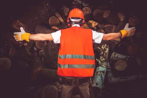 De beste hout werknemer — Stockfoto