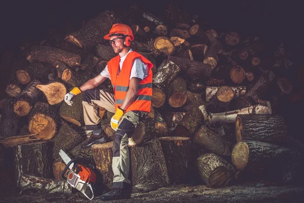 Lavoratore di legname soddisfatto — Foto Stock