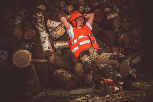 Soddisfazione duro lavoro — Foto Stock