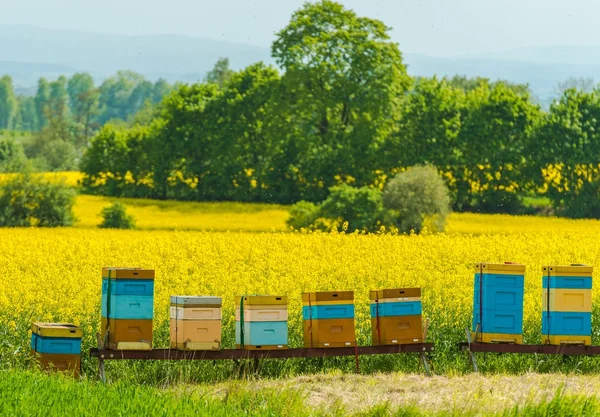 Colorful Wooden Apiaries — Stock Photo, Image