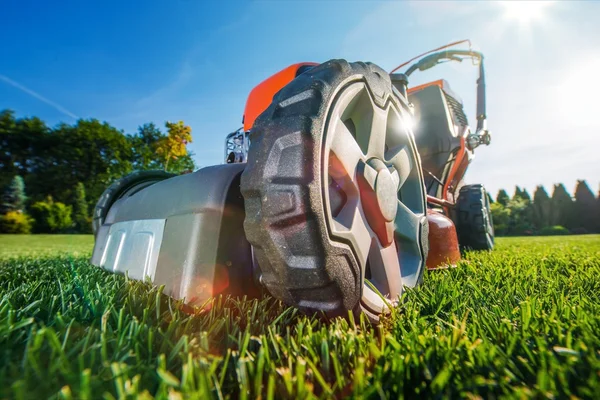 Modern Gasoline Lawn Mower Stock Image