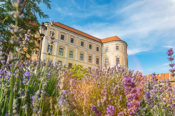 Château Mikulov Moravie du Sud — Photo