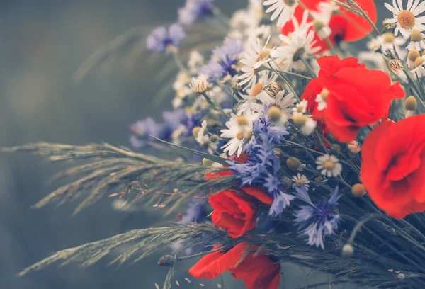 Bouquet d'été de fleurs sauvages — Photo