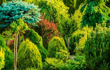 Güzel bahçe portre