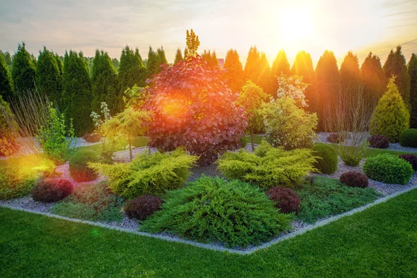 Decoratieve rotsige tuin — Stockfoto