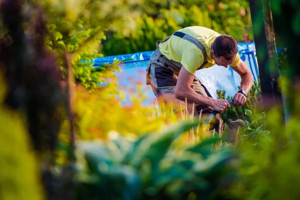 Uomini che lavorano nel suo giardino — Foto Stock