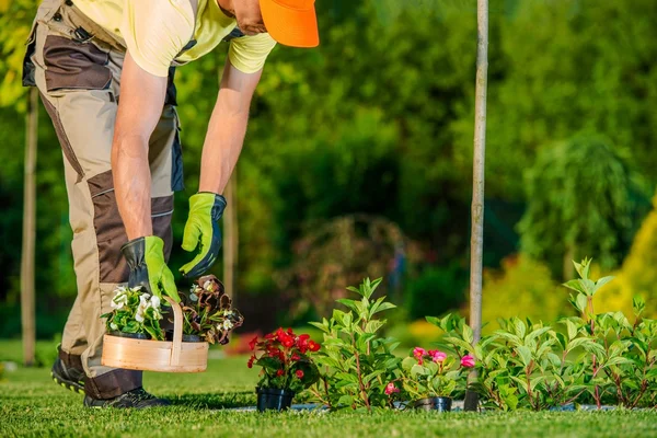 Tuinman planten van bloemen — Stockfoto