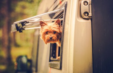 RV Travel with Dog clipart