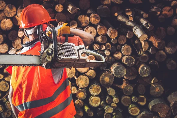 Professionel tømmer arbejdstager - Stock-foto