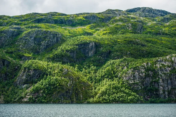 Paisaje de los fiordos de Noruega — Foto de Stock