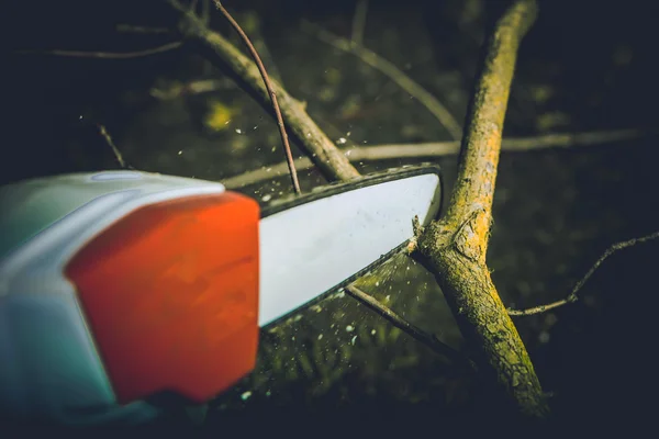 Electric Garden Wood Cutter — Stock Photo, Image