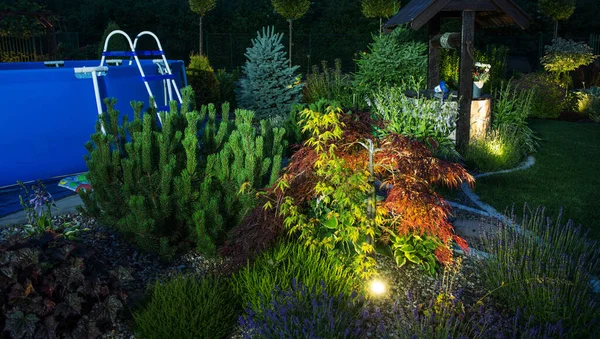Residential Backyard Garden Aydınlatma Açık Havada Aydınlatma Güzel Bitkiler Yüzme — Stok fotoğraf