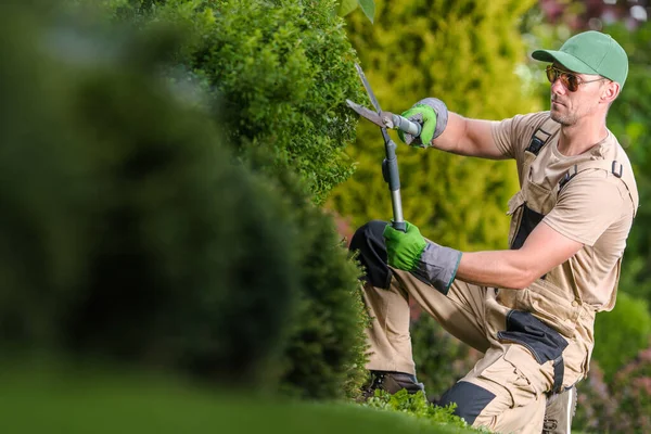 40代の白人庭師大規模なプロはさみを使用して装飾的な庭の植物をトリミングします 裏庭のメンテナンスの造園 — ストック写真