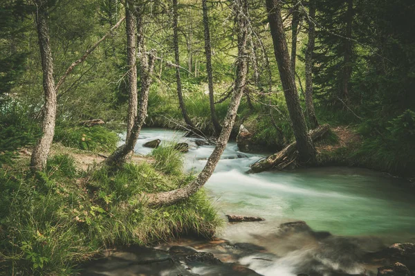 Sommar Tid Liten Natursköna Forest River Landskap — Stockfoto