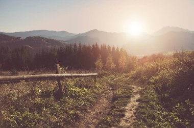 Sakin Doğa Sahnesi. Güney Polonya 'da Sunny Carpathian Patikası, Avrupa.