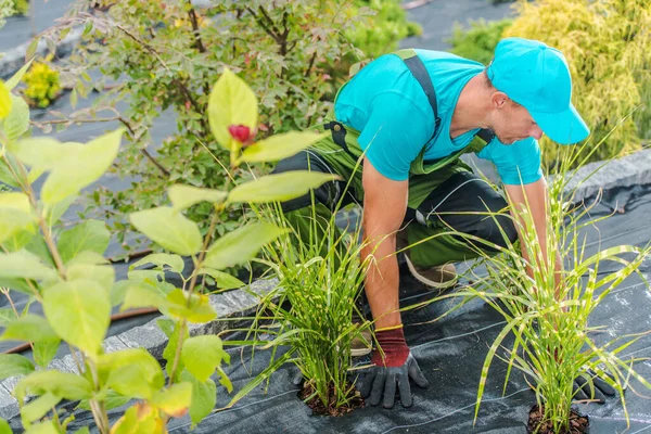 Homens Caucasianos Seus Anos Plantando Novas Plantas Flores Seu Jardim — Fotografia de Stock