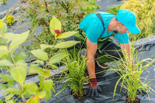 40代の白人男性が裏庭に新しい植物や花を植えました 庭と造園のテーマ — ストック写真