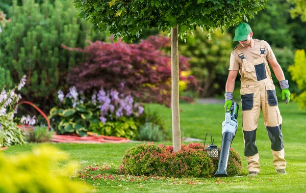 Hombres Caucásicos Sus Con Moderno Eléctrico Inalámbrico Soplador Hoja Limpieza — Foto de Stock