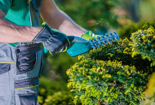 Professionelle Gartenpflanzen Elektrischer Tragbarer Trimmer Gärtner Bei Der Arbeit Industrielles — Stockfoto