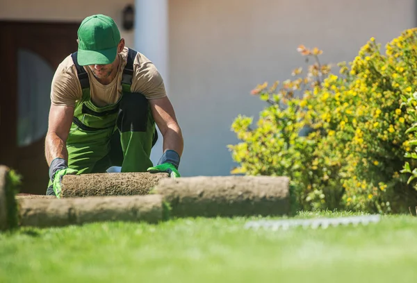 Natural Grass Turfs Installation Job Performed Caucasian Professional Landscaper Gardener — 스톡 사진