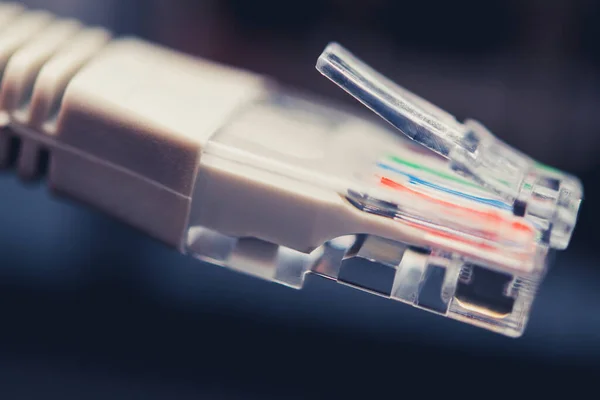 Teması Rj45 Ethernet Kablo Yakın Çekim Aygıtlar Nternet Ağı Bağlanıyor — Stok fotoğraf