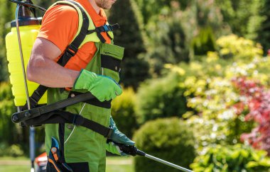 Bitki Dölleme Süreci Kafkasyalı Profesyonel Bahçıvan tarafından yürütülüyor. Savaşan Bahçe Böcekleri.