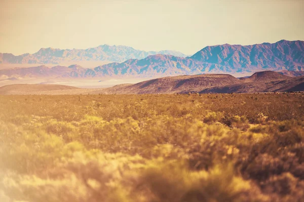 Early Fall California Mojave Desert Raw Landscape Verenigde Staten Van — Stockfoto