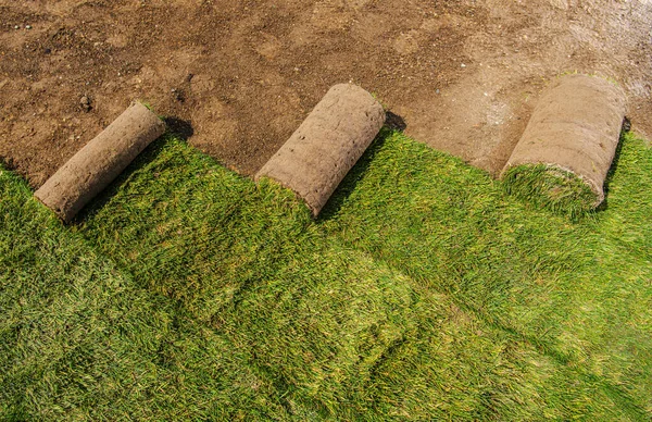 Roll Natural Grass Turfs Rolls Installeras Bostadsträdgården Tema Trädgårds Och — Stockfoto