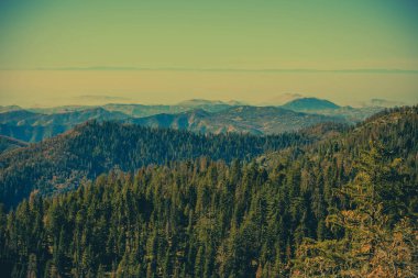 Orta Doğu Kaliforniya 'daki Sierra Nevada Dağları' nda yaz sonu Yosemite ve Sequoia Ulusal Parkları yakınlarında. Amerika Birleşik Devletleri. Manzara Doğa Teması.