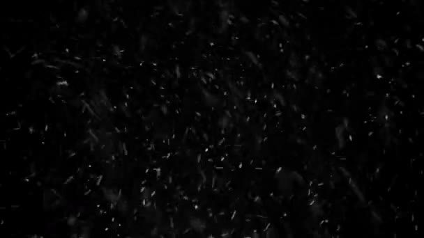 冬のブリザード天気 雪と風アルファチャンネル黒の背景 — ストック動画