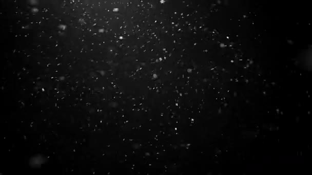 Falling Snow Flakes Winter Weather Black Background Alpha Channel — Stock Video