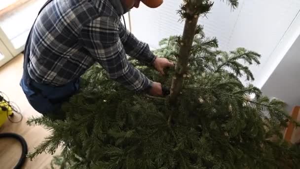 Homens Caucasianos Removendo Árvore Natal Sua Casa Cortando Cada Ramo — Vídeo de Stock