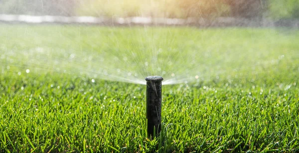 Automatic Garden Sprinkler. Backyard Watering Technology.