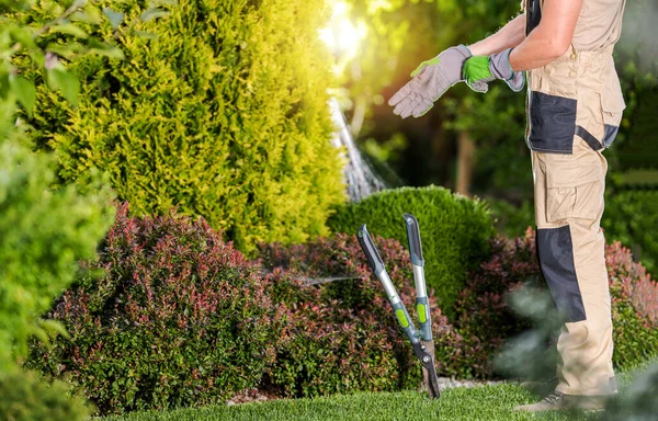 Kaukasisk Professionel Gartner Erne Forbereder Sig Til Garden Job Iført - Stock-foto