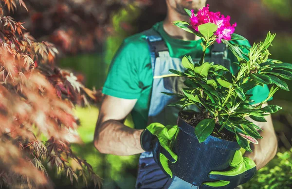 彼の30代の白人庭師ポットで開花植物を購入する 裏庭に新しい花を植える — ストック写真