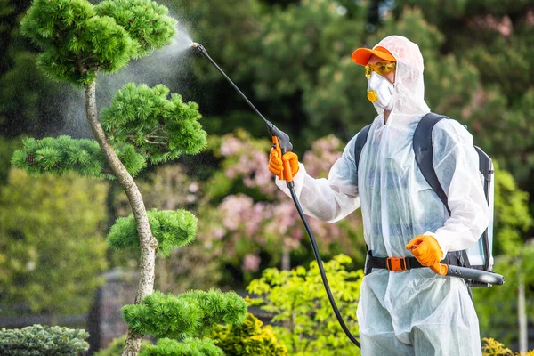 Caucasian Gardener Wearing Protective Suite Fungicide Garden Plants Spraying Biological — Stock Photo, Image