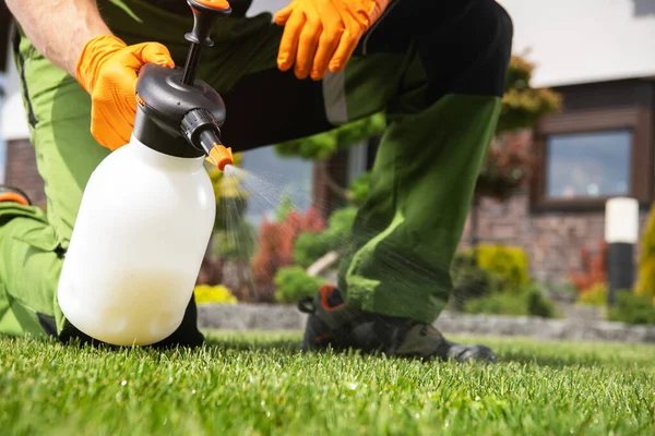 화학제품을 함으로써 잔디와 싸우는 백인들 — 스톡 사진